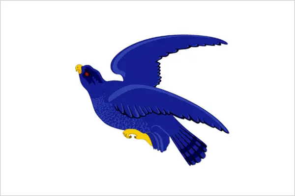 Флаг: Малмыжский район